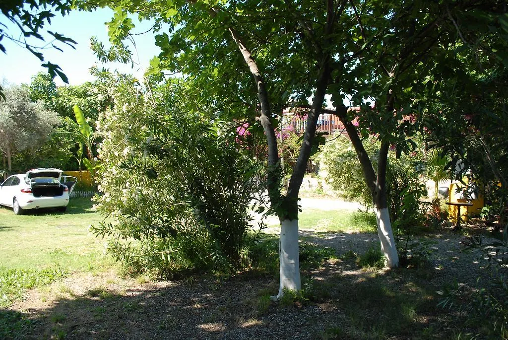Villa Dalyan Camping Lodge